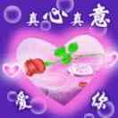 玫瑰4866