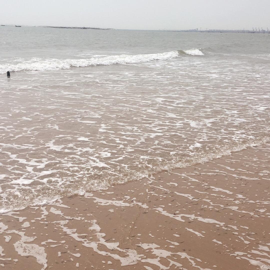 户外赶海毛哥