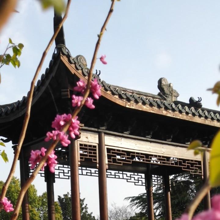 佳期如梦