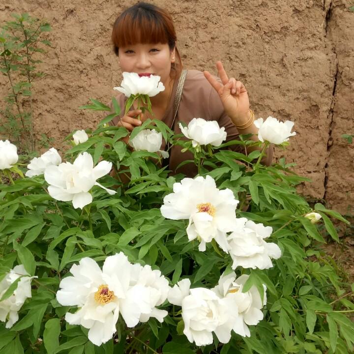 梁山农资。
