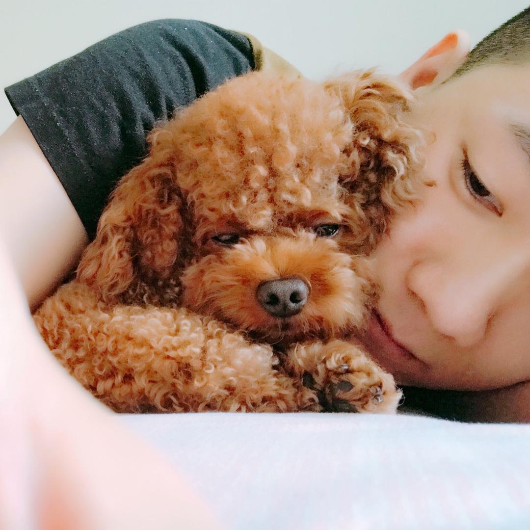 疯狂的超仔