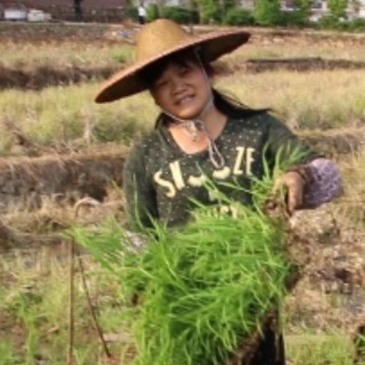 农村钟姐