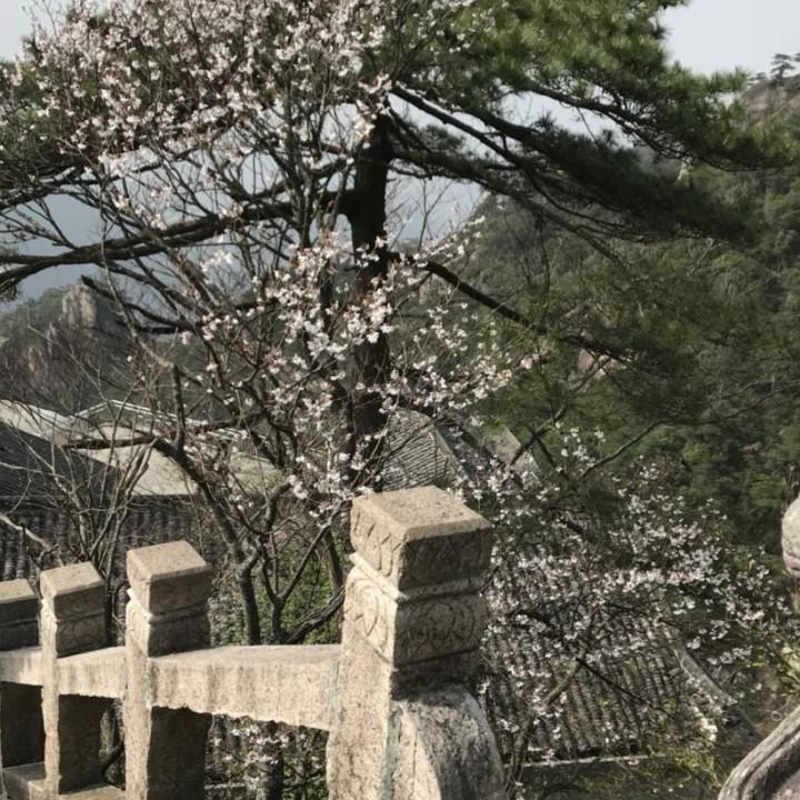 、矿泉水、