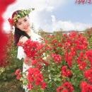 蕴桐花园生活