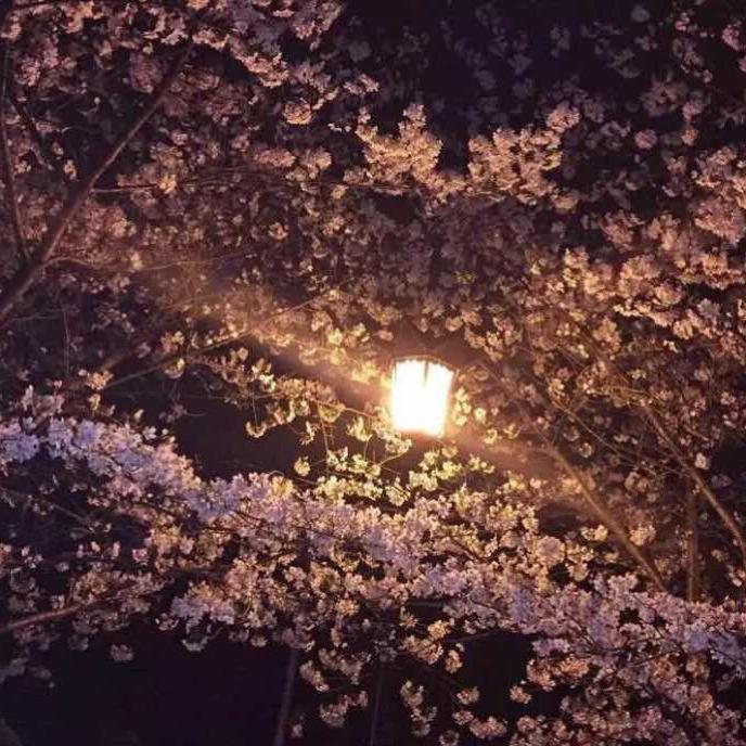 沂水韓