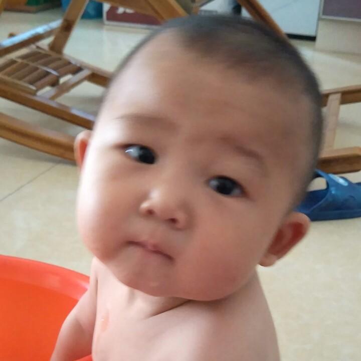 奋斗的羊