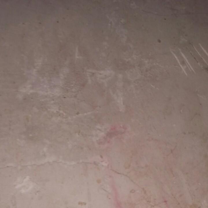 真情无限