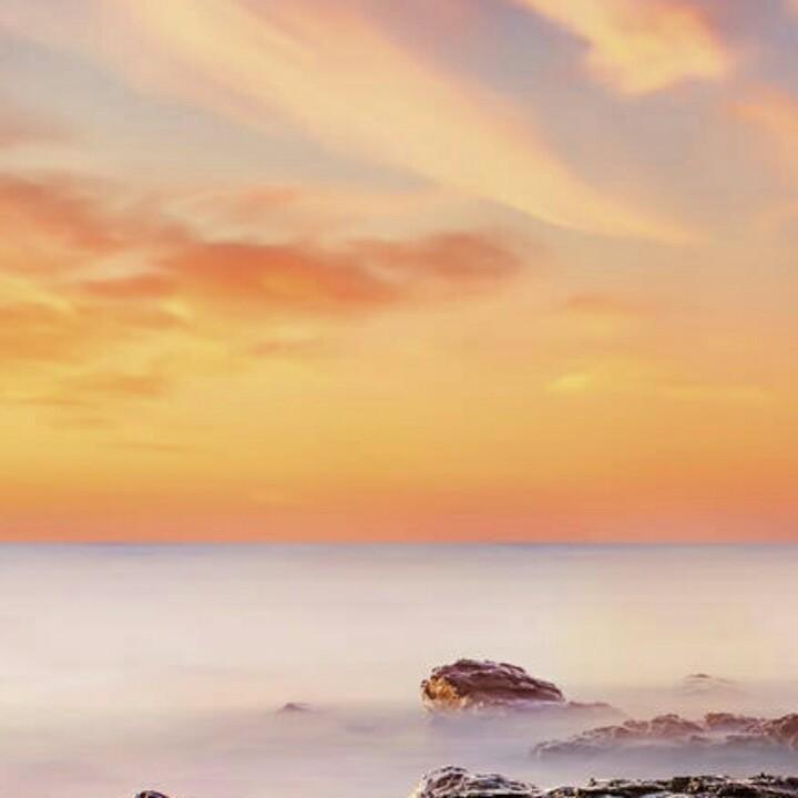 阿杜甫