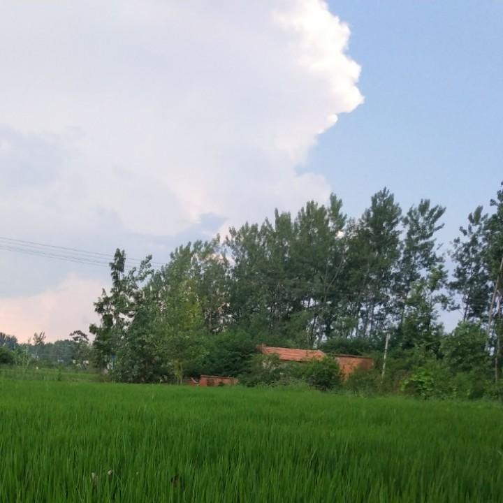 心雨