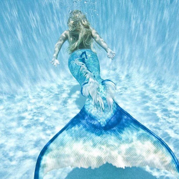 天津海鑫水族