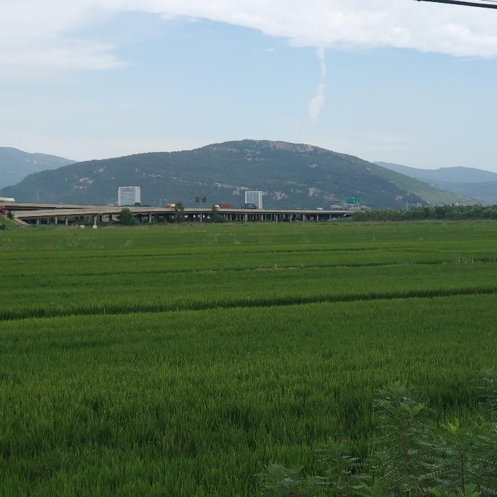 亮子