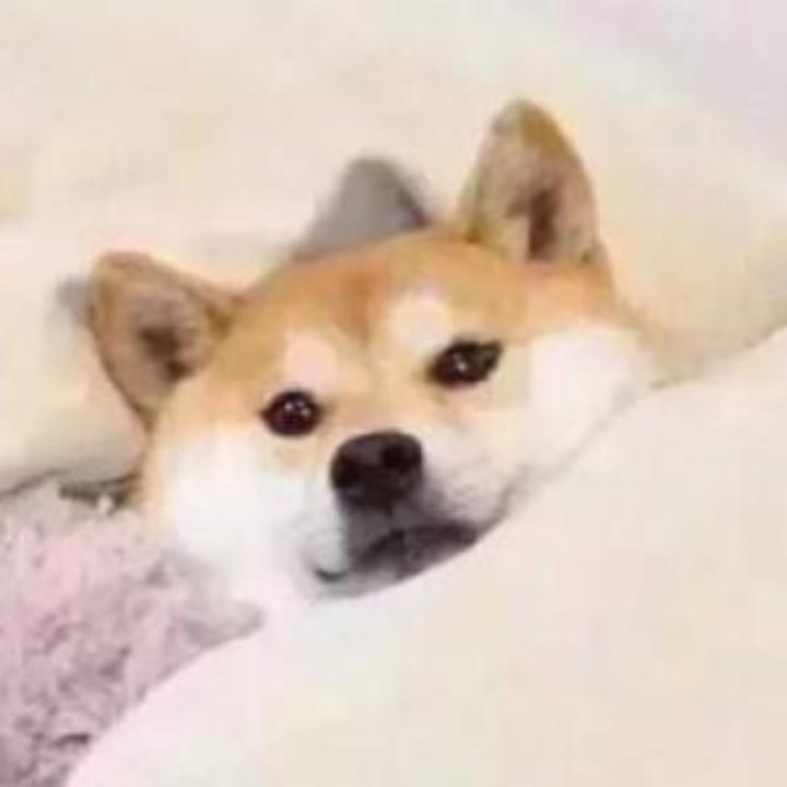番茄炒蛋