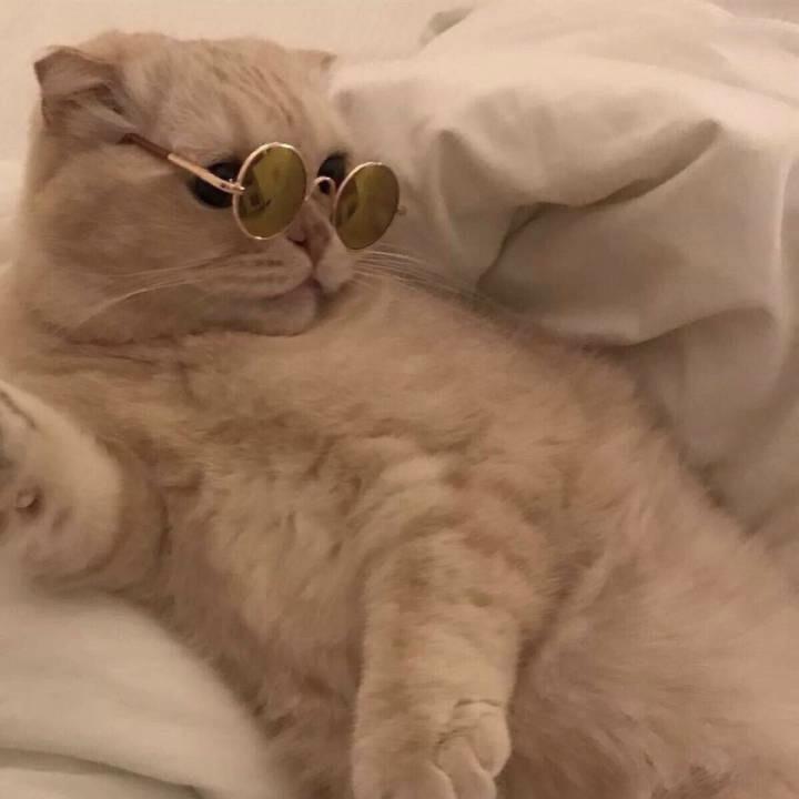🕌乐屋~