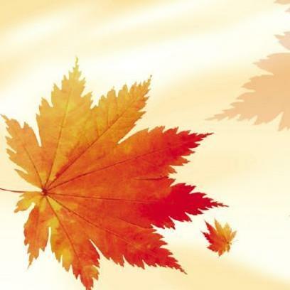 TL🍁天來✨