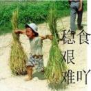 言午