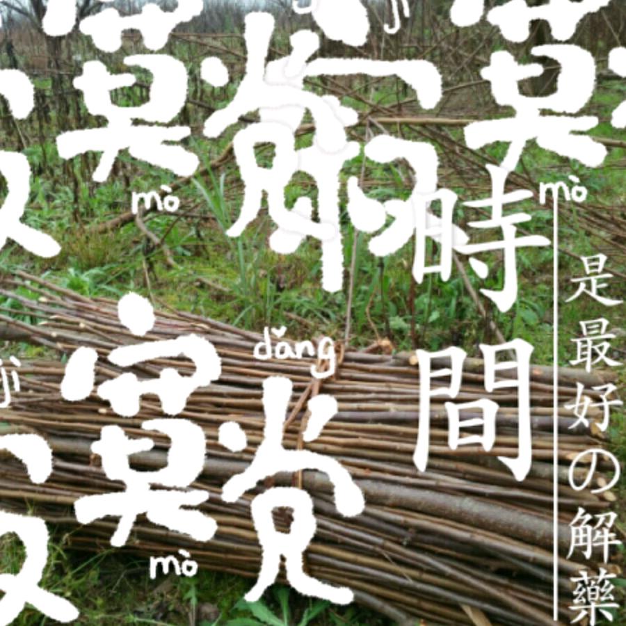 吴姐音乐