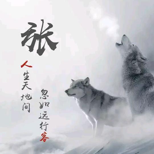 Zhy小宇
