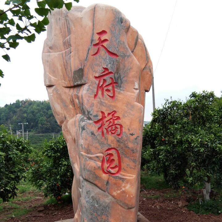 宋家    宋少