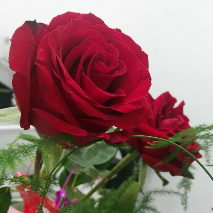 小沫吖🍒