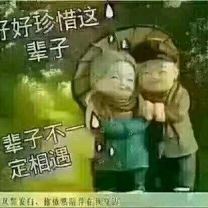 紫罗兰！！！