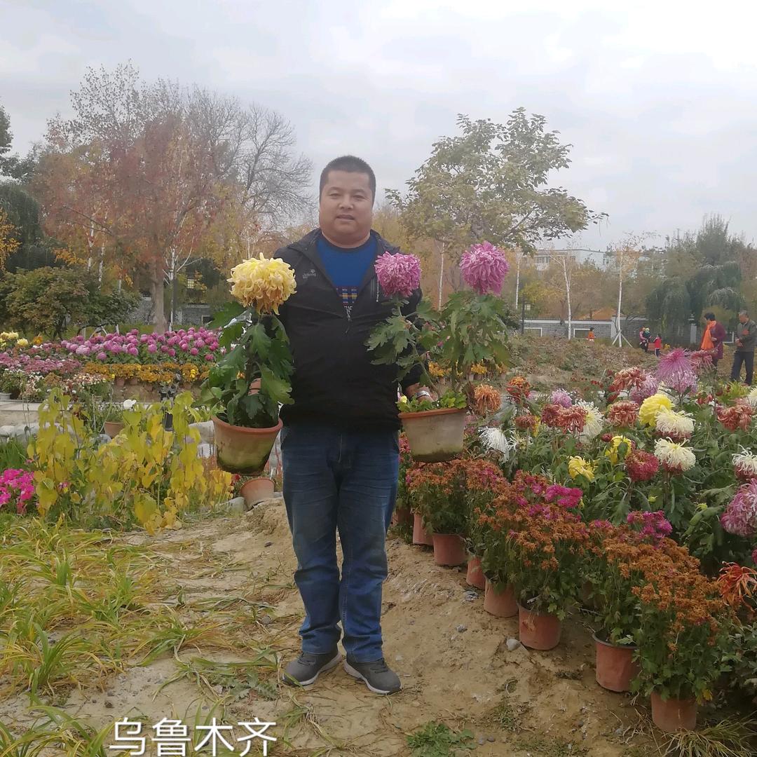 张成德