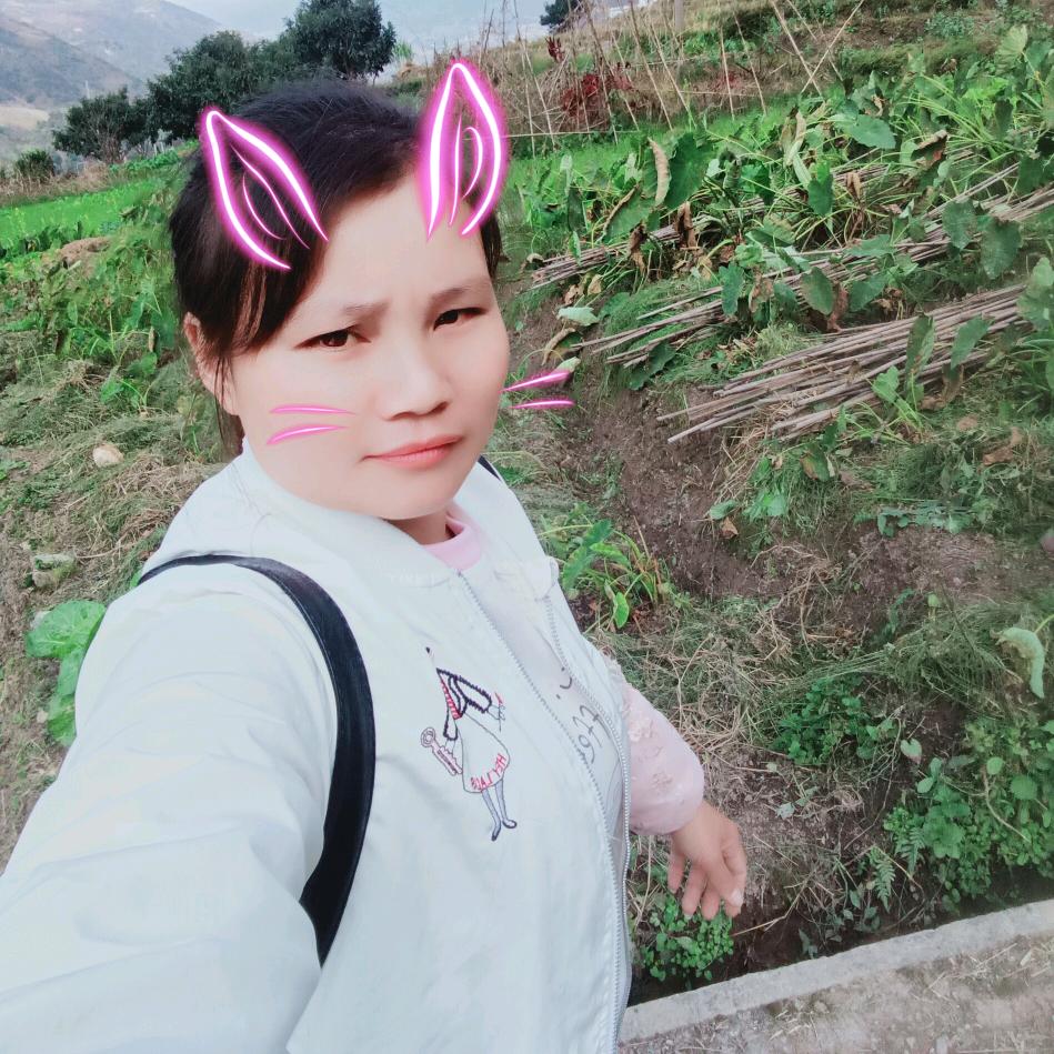 我们做个好朋友