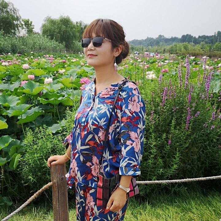 凌稷杏洋果树苗木