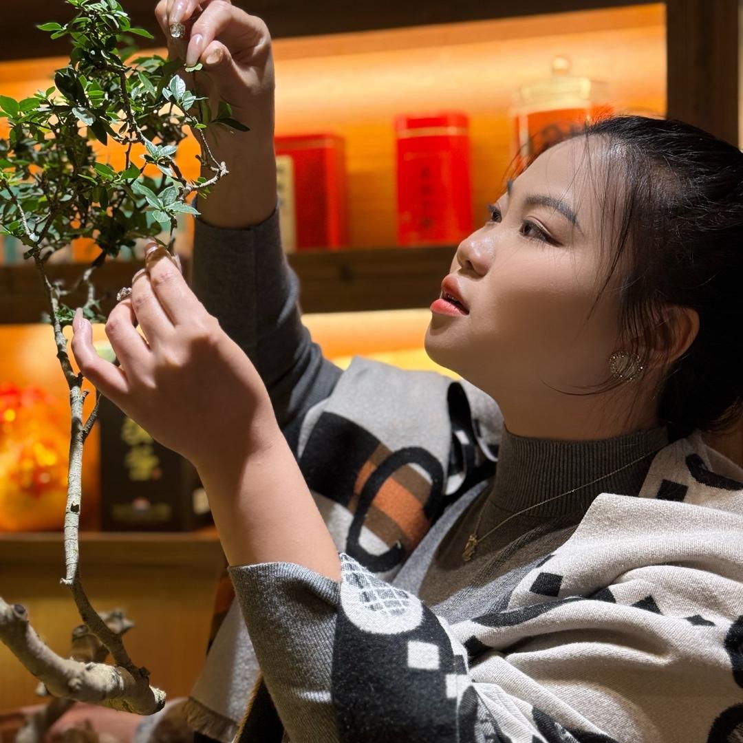 熊出默文化传媒