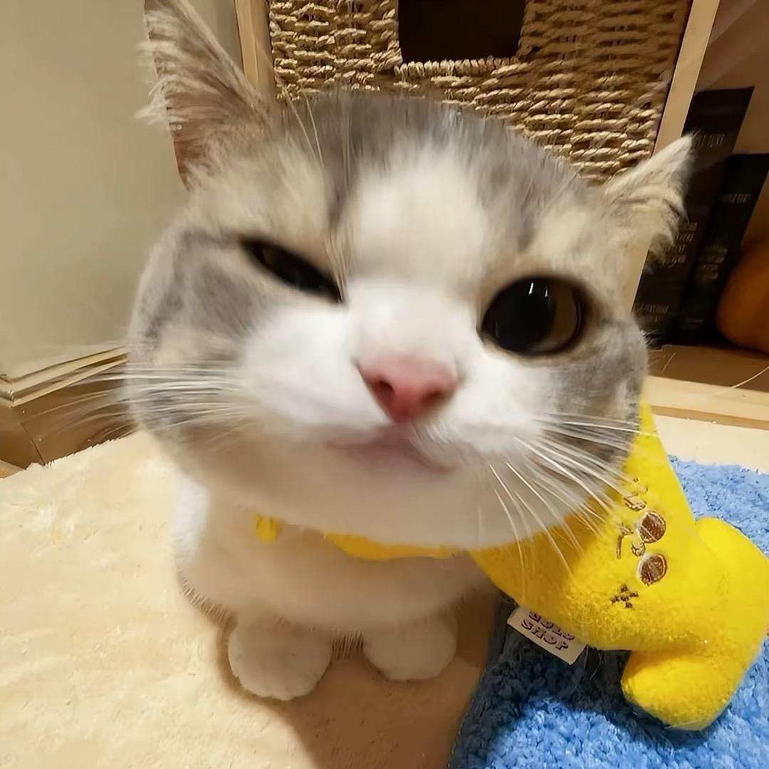 睡个好觉