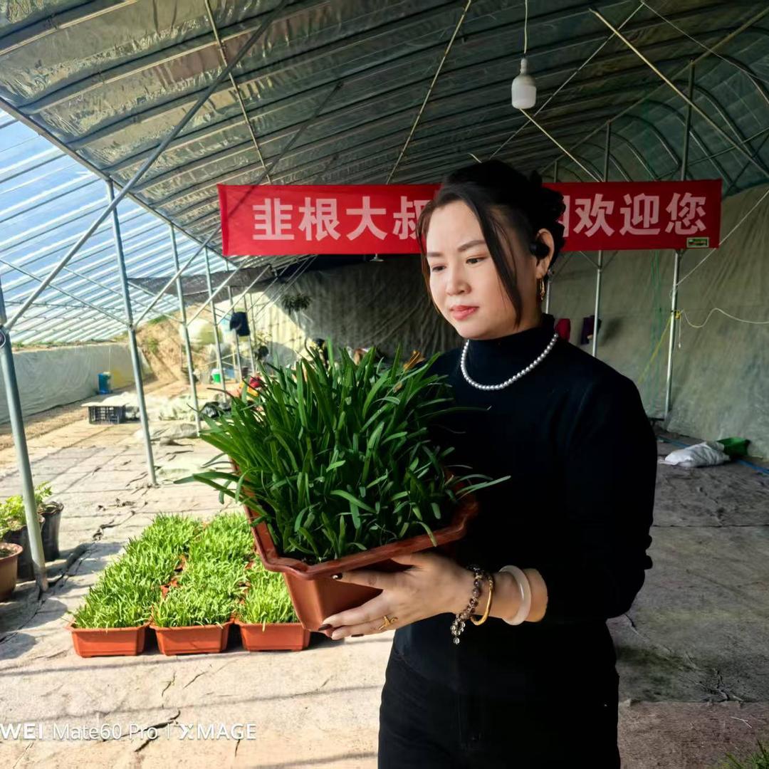 菜乡村之蔬小张