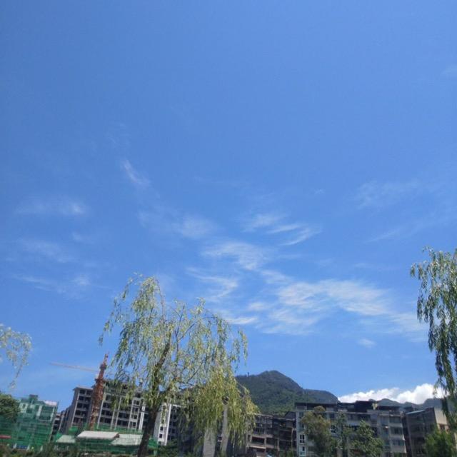 缘分