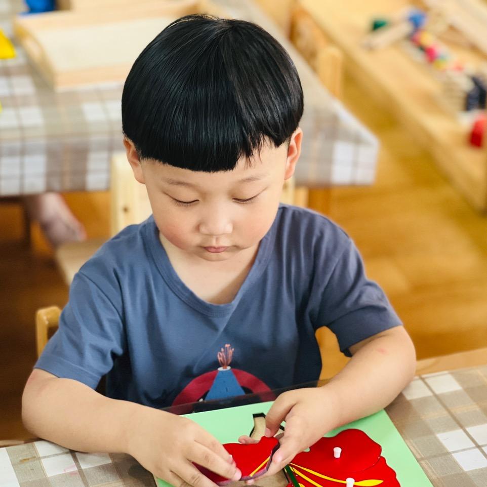 丁香