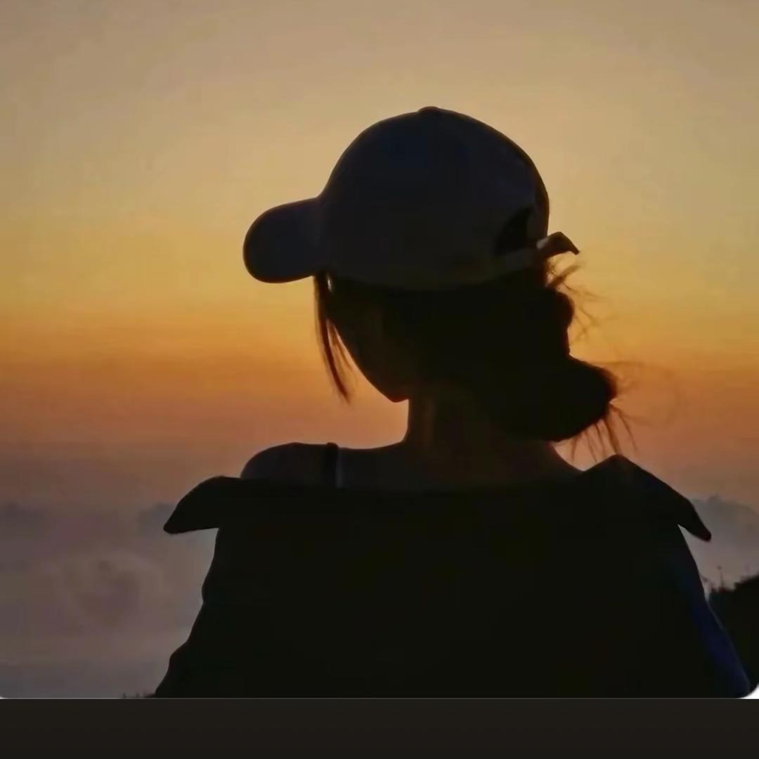 鱼宝