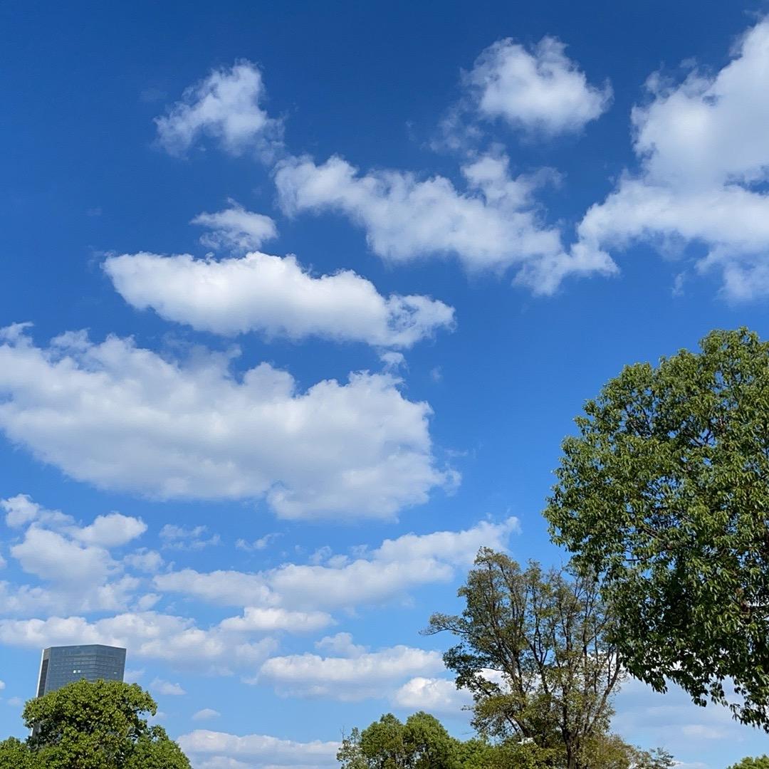 🌬️