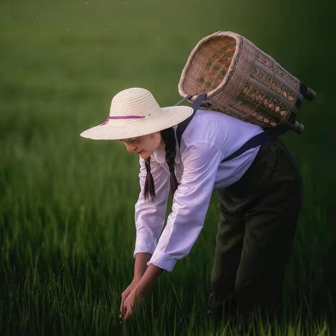 梦达好物
