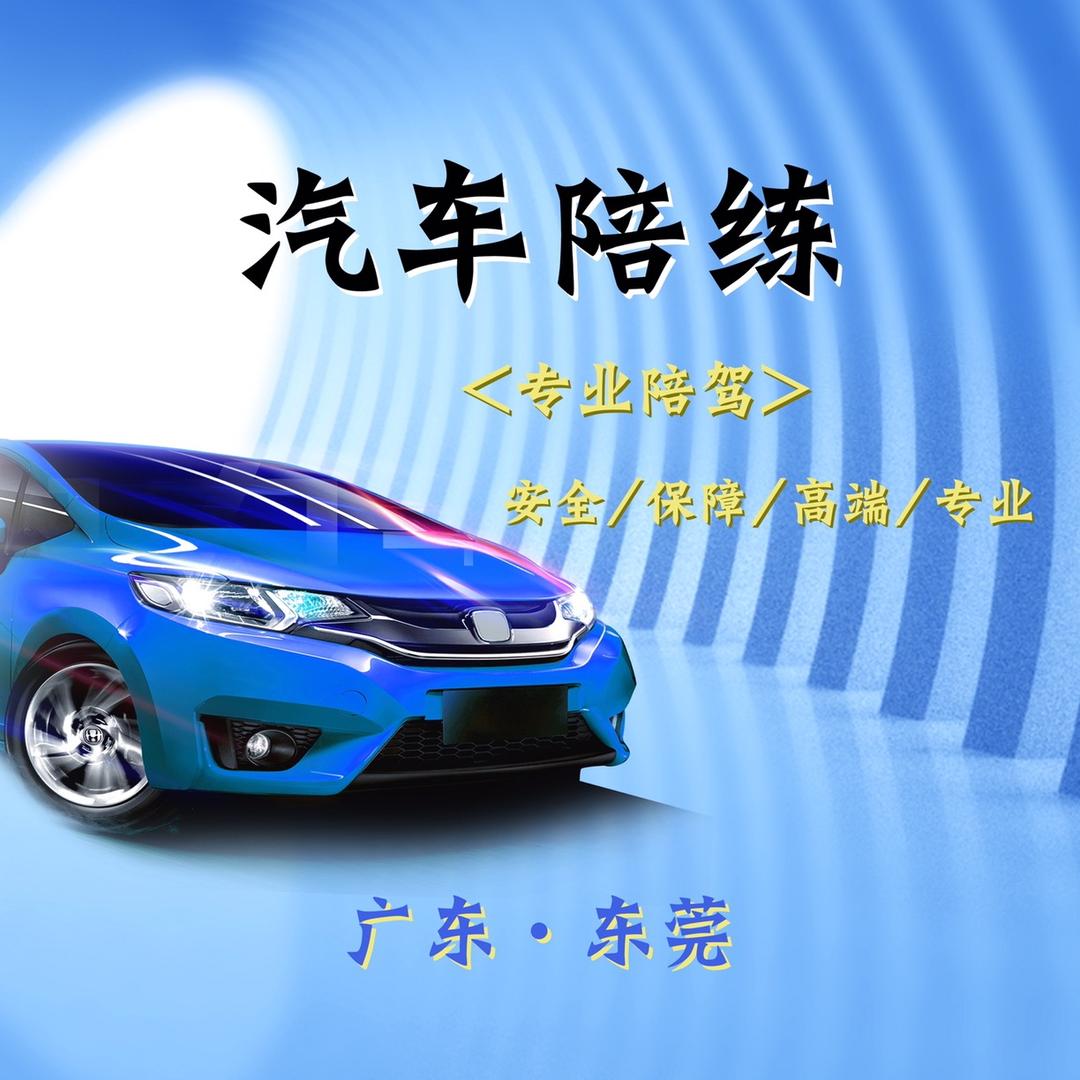 东莞汽车陪练-何教