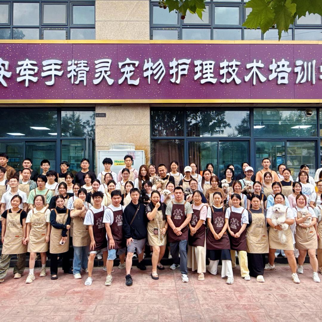 西安牵手精灵宠物护理技术培训学校