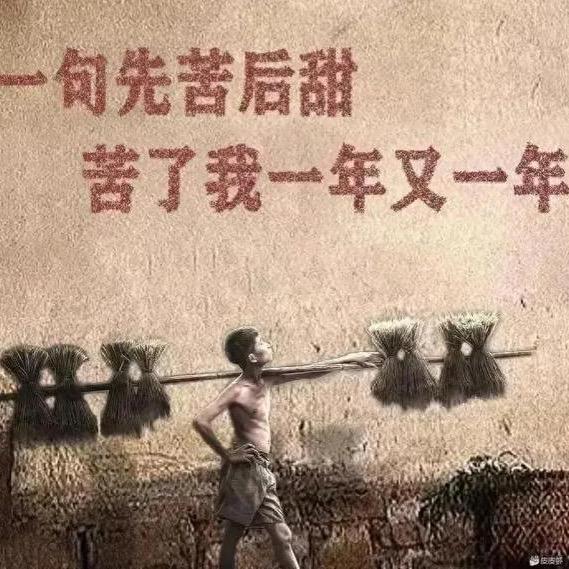 现实是道坎