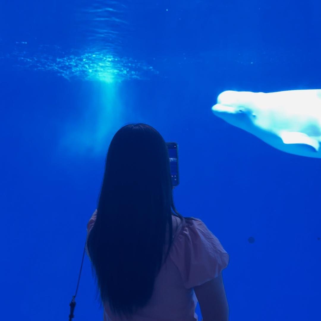 楽ᰔᩚ