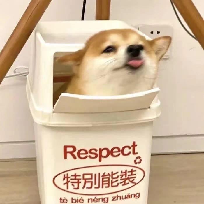 🌈  秦渊   °