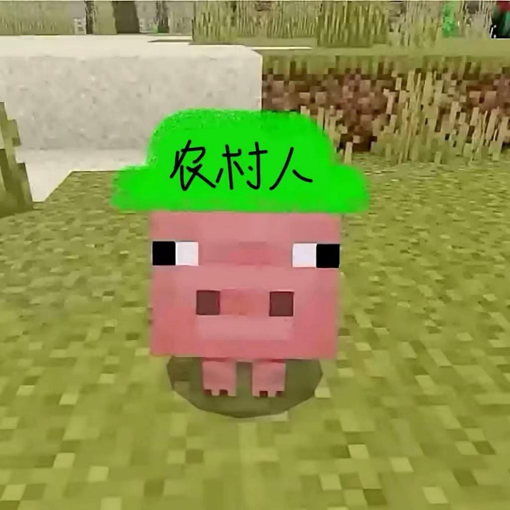 肖肖乐