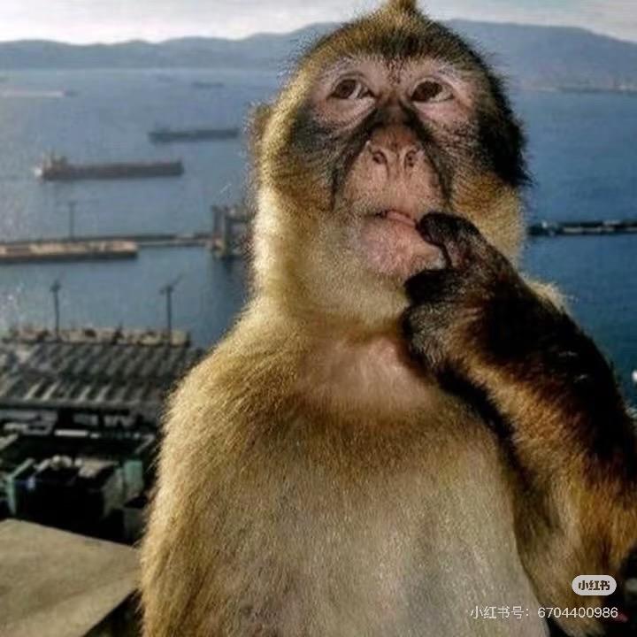 混蛋的淡