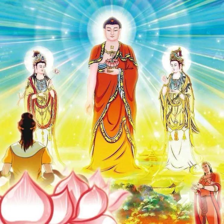 妙福师兄