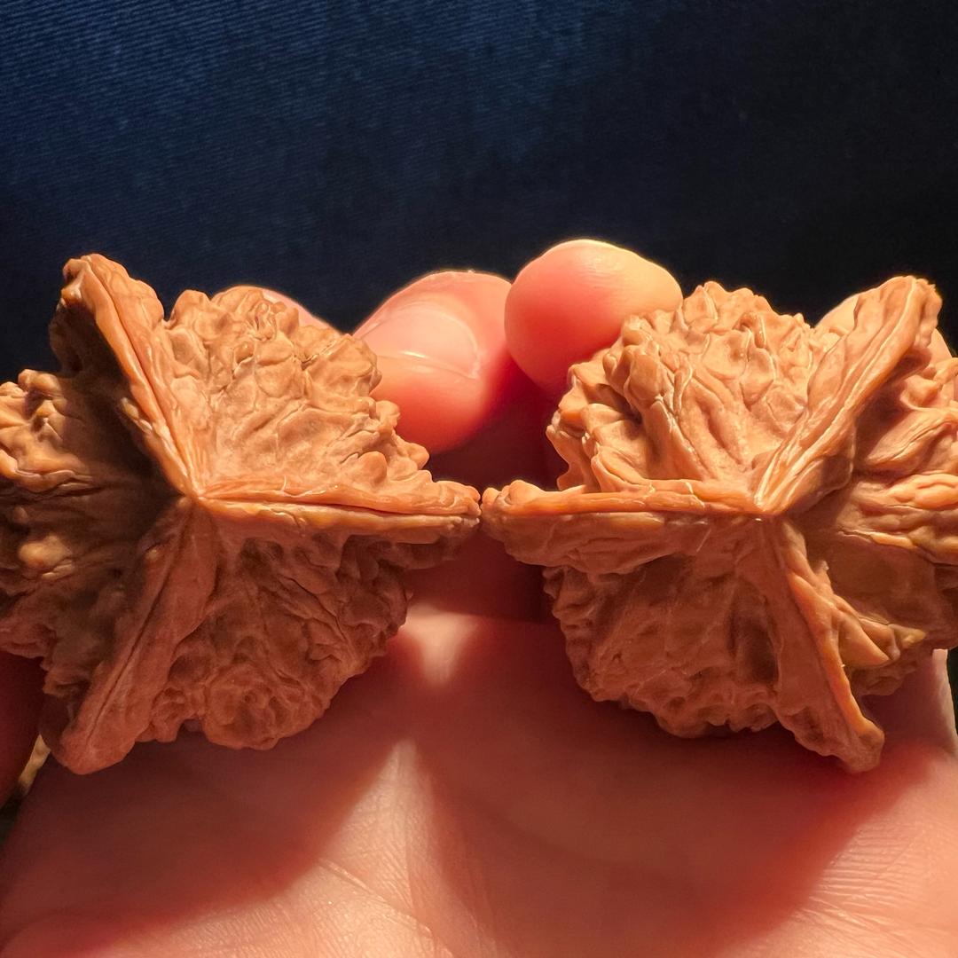 紫月核桃
