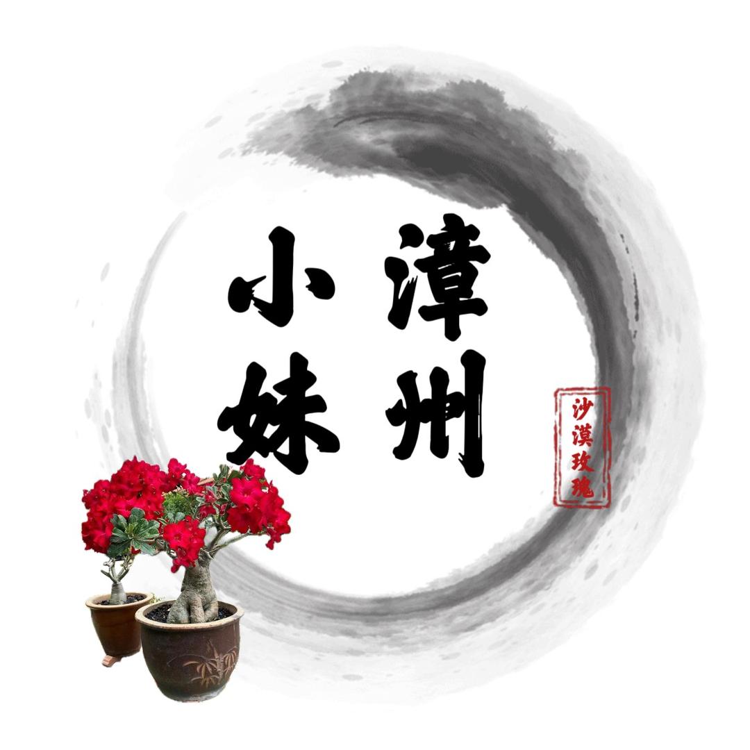 漳州小妹花卉