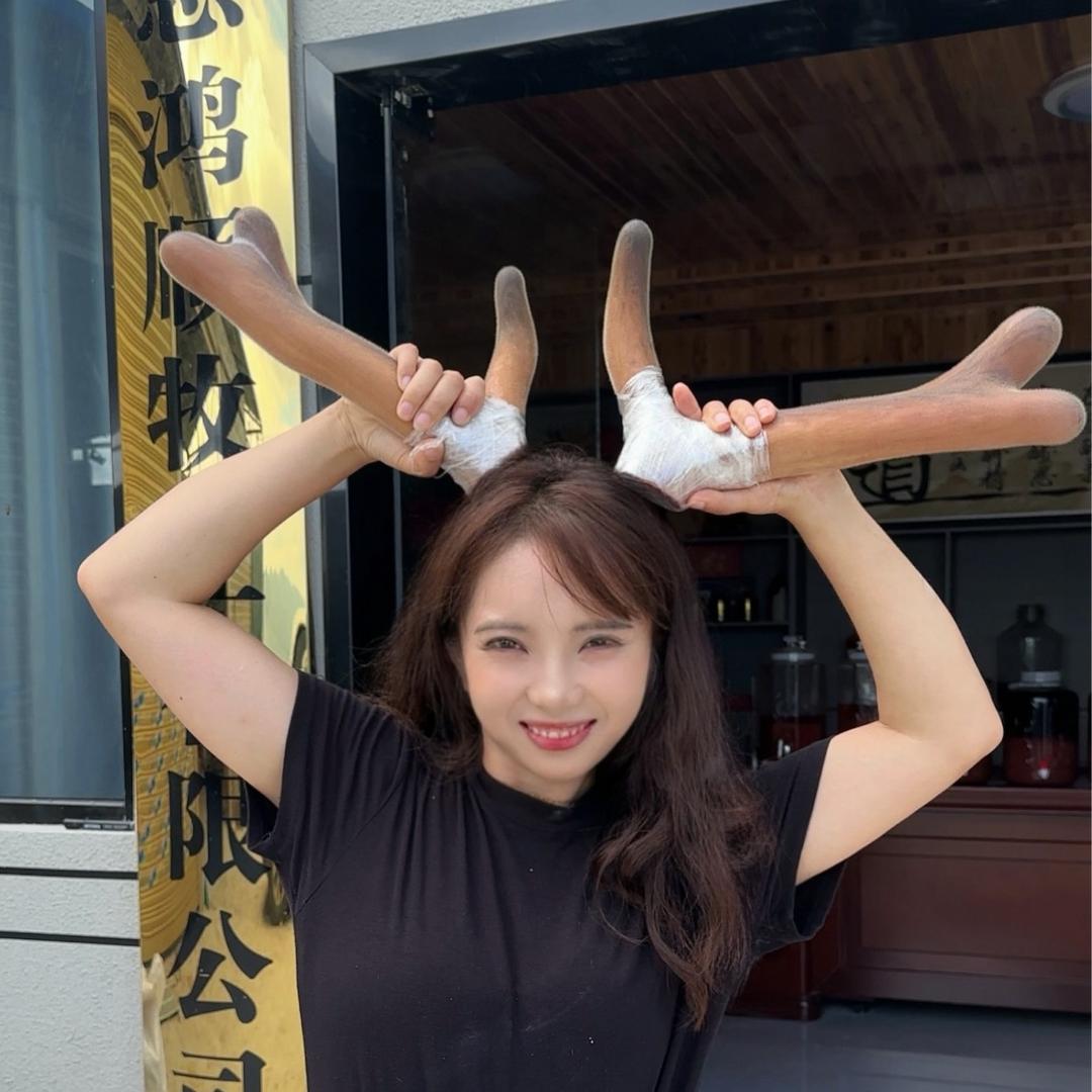 恩施鹿灵儿