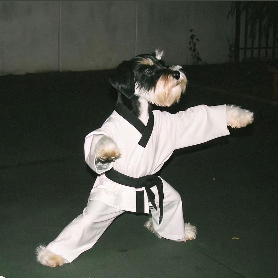 吃饱了就睡觉