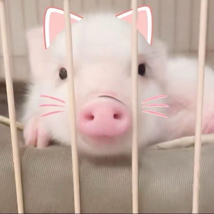 做妈