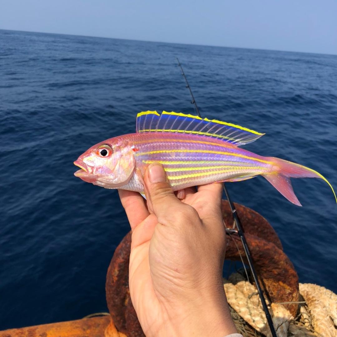 ＿、海上人