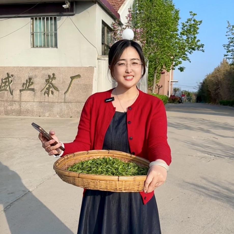 日照绿茶盛业春